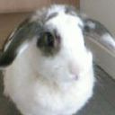 Ali lane - @Ali67Lane - Twitter