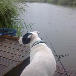 wanner1970's profile picture. 