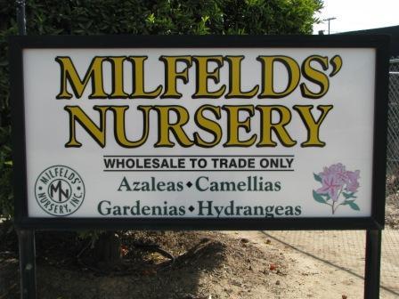 Wholesale Grower of Azaleas, Camellias, Gardenias, Hydrangeas, Ferns.
2550 Adams St.
Riverside, CA 92506
951-689-7900