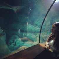 Asliimd (@asliimd) 's Twitter Profile