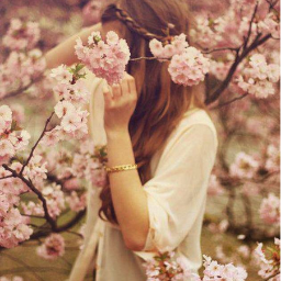 Dreams are like stars...you may never touch them, but if you follow them they will lead you to your destiny.
 Follow me, and I'll follow back :)