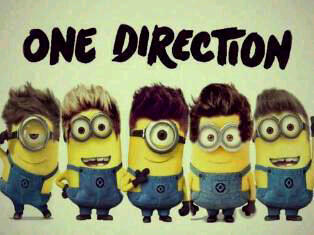 i love one direction !