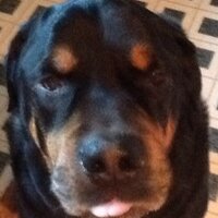 Ed Grant (@granted45) 's Twitter Profile