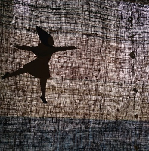 alstroe's profile picture. window watcher * poet +publisher