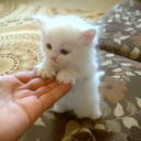♥أسـجد وأقــترب♥ (@22_ragad) Twitter