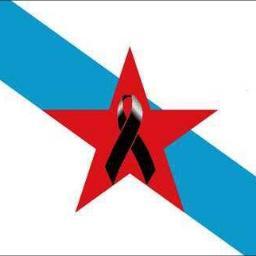 miguelanxomosqu's profile picture. 