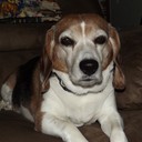 Kim Baer - @Ravensfan38 - Twitter