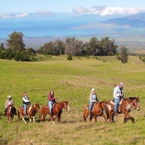 ponyexpresstour's profile picture. Horseback riding around beautiful Haleakala on Maui!