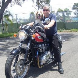 Quality Coach https://t.co/rH70EdW6TD,  Photography, Motorcycles, Café Fréquenter - Instagram:  kennedcafe, boganbirds, urbanbackstreets, farmcritters, dogwise