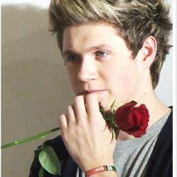 karol152013's profile picture. 3 anos 3 i love 1D