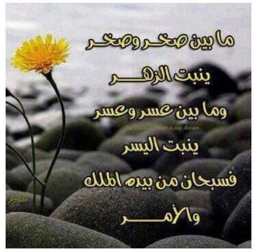 الله لايحلل اي حساب اباحي يتابعني خافوا ربكم وتذكروا القبر