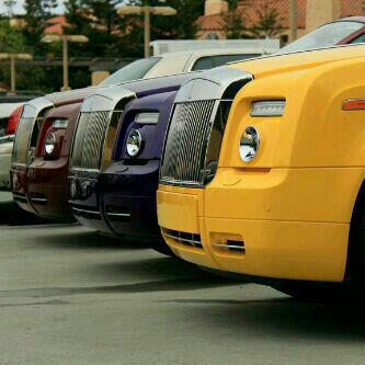 ywy222's profile picture. 