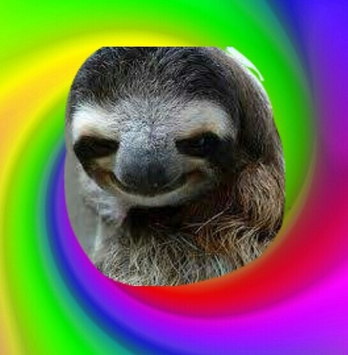 sloth nation swerve bitch
