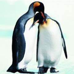 ChelinTsien's profile picture. 