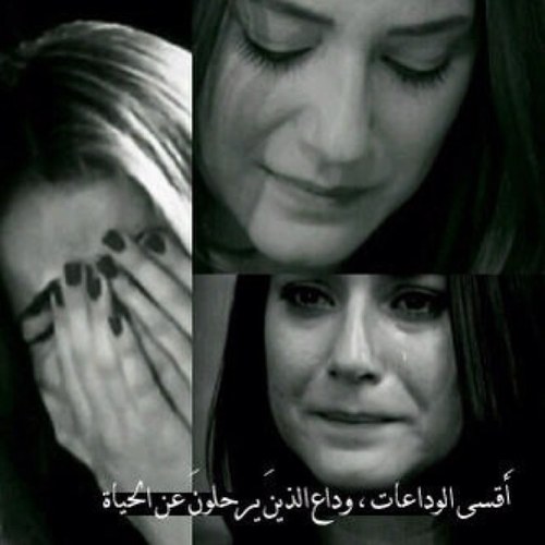 حساسةة~أحب نفسي~ثرثاره~سامجةة~مفهيةة....!