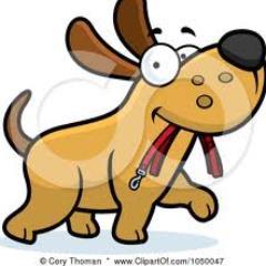 Call 813-420-3967 or text 813-355-8594 for details!
*$5 per dog for 1 hour of walking*
$20 per day per pet & $5 per hour if sitting is less than one day*