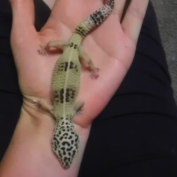 CollegeFitLife's profile picture. 