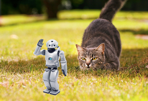 catsandrobots42's profile picture. Lover of the FIRST Robotics Competition and Cats. There are so many insightful things about the world, and I want to share them with you!