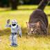 I Love Cats & Robots (@catsandrobots42) Twitter profile photo I Love Cats & Robots (@catsandrobots42) Twitter profile photo