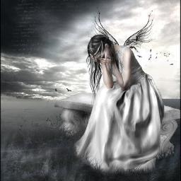 when sorrow cannot find reality we are prone to self destruction as legislation does not protect the innocent  - workcover & patient rehab are not compatible