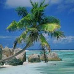 When the need to succeed is as bad as the need to breathe, then you’ll be successful.- Eric Thomas