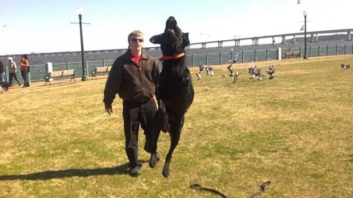 Walker_Scott99's profile picture. 