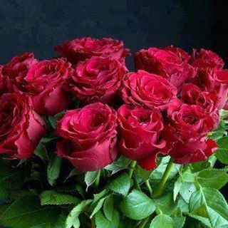 ‏‏وعز الشرق اوله دمشق