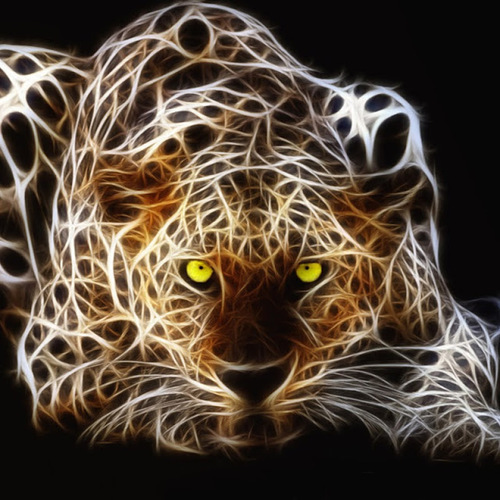 Hadlar3's profile picture. 