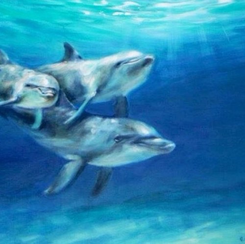 Surrounded by the ocean's beauty, I fight for it & the magnificent beings that call it home.  Please watch The Cove & follow @CoveGuardians #Tweet4Taiji