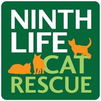 Ninth life cat store rescue