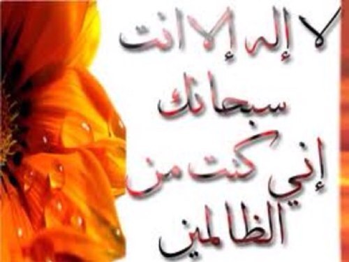 k_albajih's profile picture. النبذة الحقيقية عني هو الانطباع أو التصور والبصمة التي أتركها في الطرف الآخر فتلك هي نبذتي .. أتشرف بالجميع