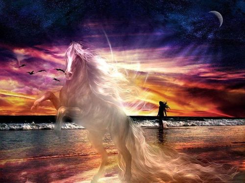 tocateloshuevos's profile picture. 