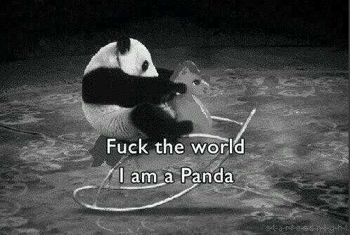 The panda behind @LOTRelfprince
