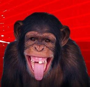 humor contra regra