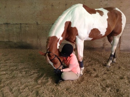 paint_mama_gal's profile picture. Quater horse paint mommy for life

Build a bridge and get the fuck over it peace✌