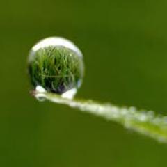 Only two things are infinite, the universe and human stupidity, and I'm not sure about the former.- Albert Einstein