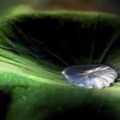 Snchz1sad0ra's profile picture. In theory, there is no difference between theory and practice. But in practice, there is.- Yogi Berra