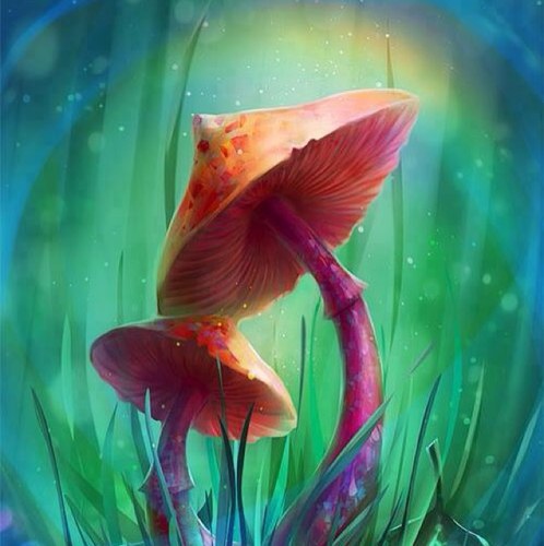 mimi1538's profile picture. 