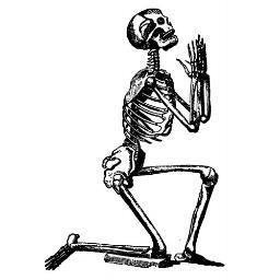 prongsLive's profile picture. Founder Opus Haus (Pvt) Ltd. 
Magazine Designer | Photographer (Opus Fotografi) 
Also @prongs009 
#DesignForCommunity