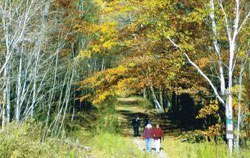 Deerfield Valley Community Cares presents, Best Dam Walk / Run in VT - on Saturday, Sept. 28,2013. We provide heat short-term to help people in need.