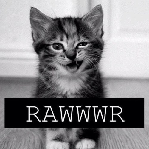 ThezzaWeyHey's profile picture. ☆ The Band That Lost X Factor But Won The World ☆