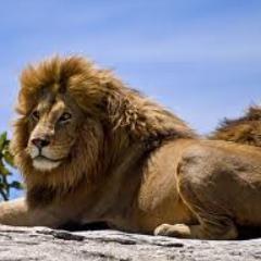 ENZOM2D's profile picture. 