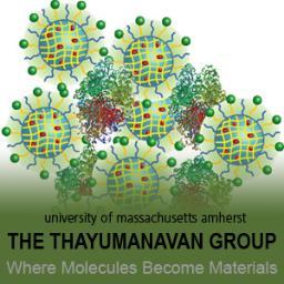 UMassThaiGroup's profile picture. 