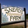 SneadsFarmCSA's profile picture. 