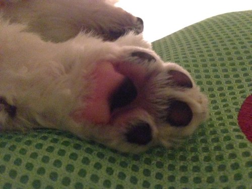 L・🐶
フリーになったのでいろいろ募集中