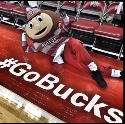 Latest new for all ohio state fans!! #gobucks