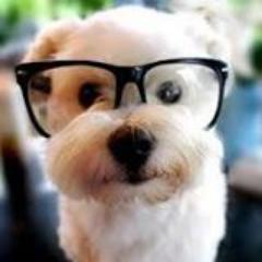 Sou fã do Lucas Santos,da Larissa Manoela e da Maisa Silva ! Amo Carrossel,  adoro minha família e minhas amigas ! e sou apaixonada por cachorros e gatos!