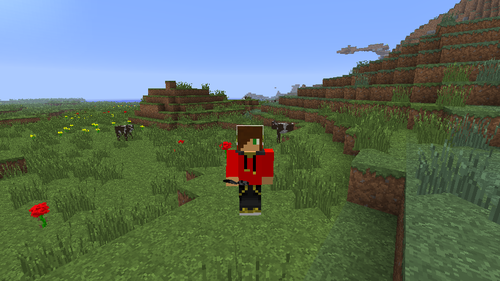 minecraft3333333333