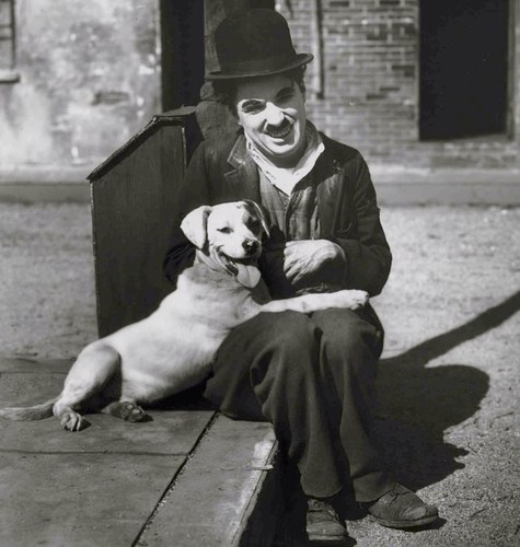 Themadyogis's profile picture. MAD Yogi Believes “The best place to find a helping hand is at the end of your own arm.”