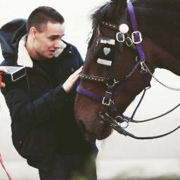 One direction is my life there my everything there my world, follow me i follow back #Directioner #Mixer #Twihard #potterhead